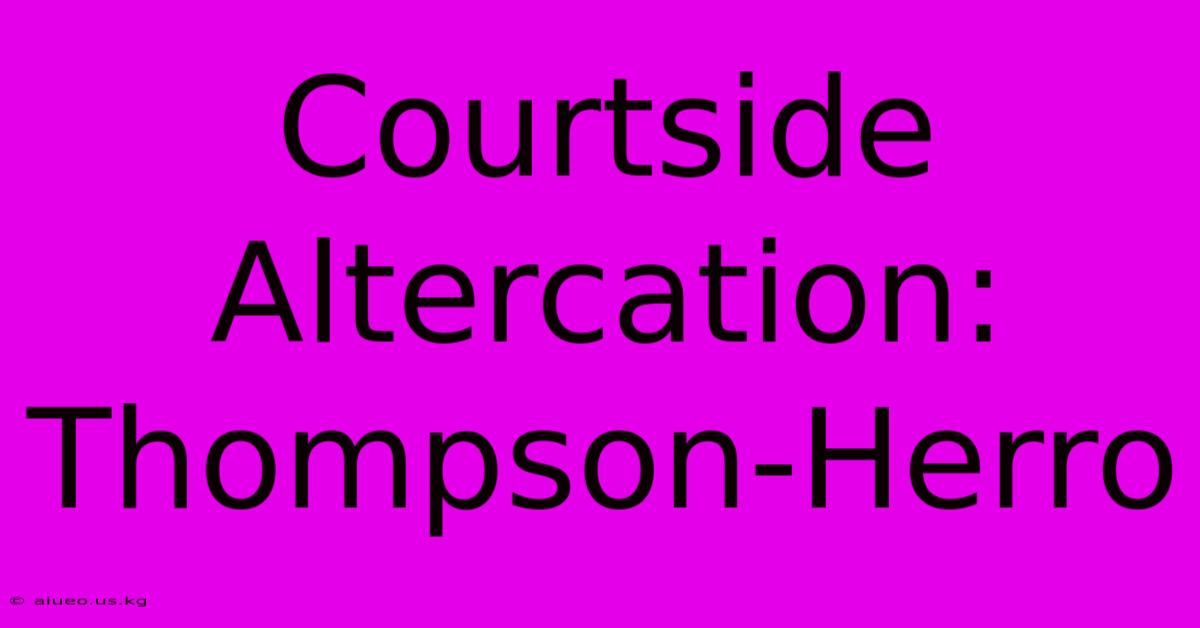 Courtside Altercation: Thompson-Herro