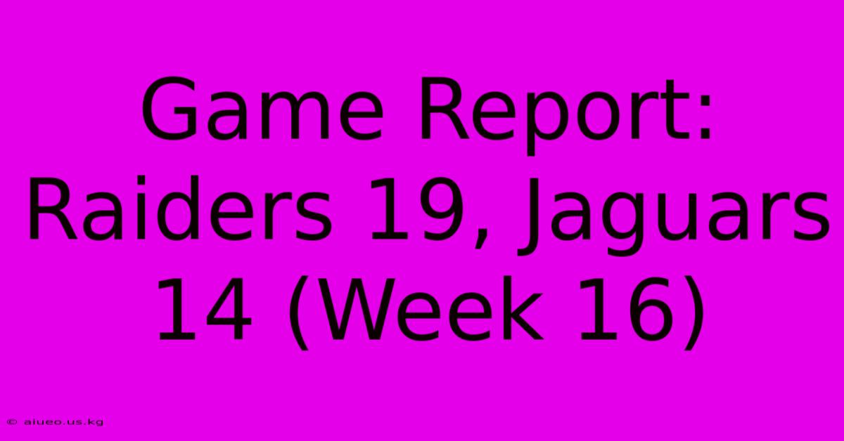 Game Report: Raiders 19, Jaguars 14 (Week 16)