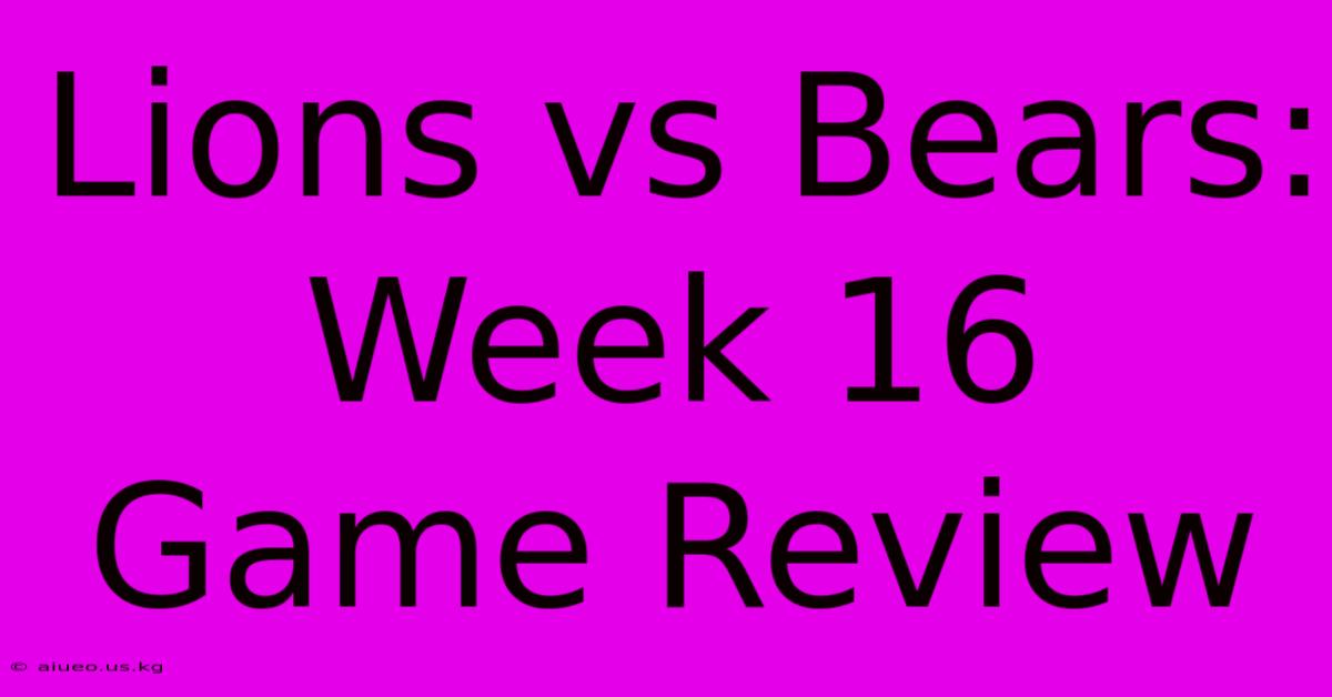 Lions Vs Bears: Week 16 Game Review