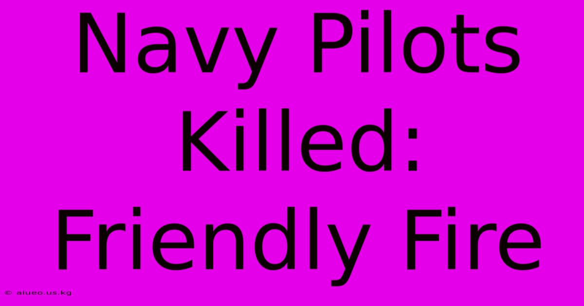 Navy Pilots Killed: Friendly Fire