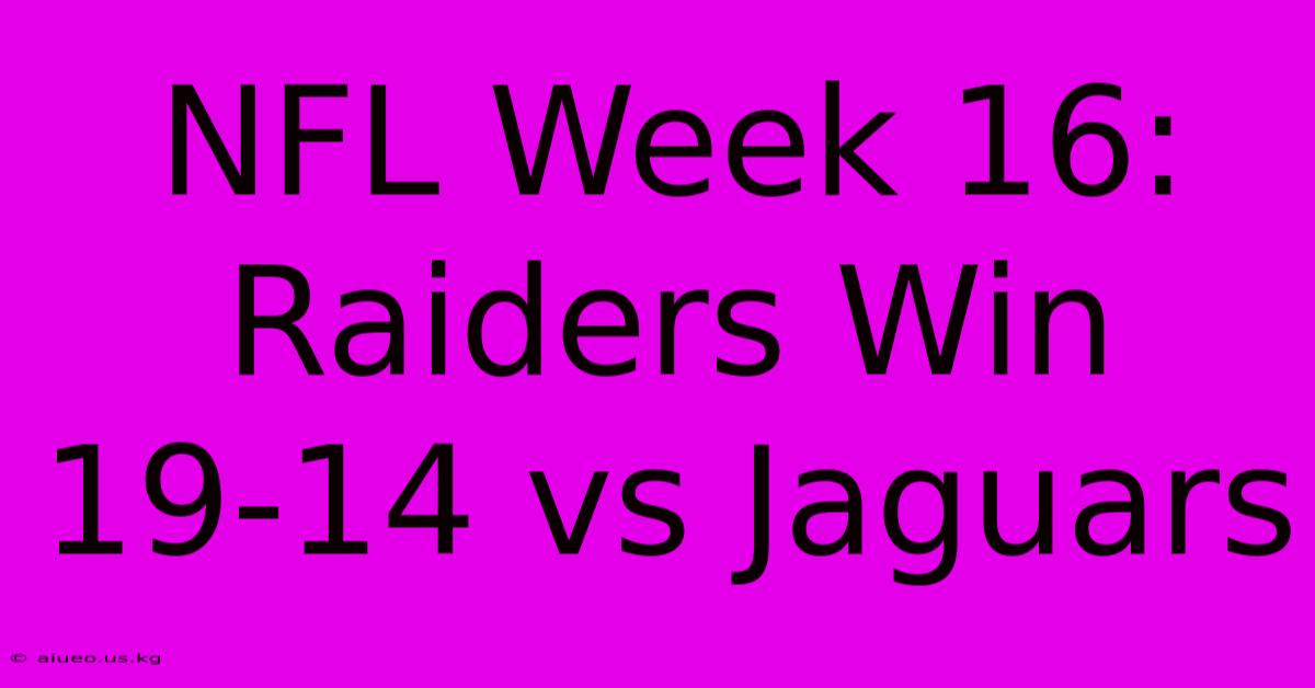 NFL Week 16: Raiders Win 19-14 Vs Jaguars