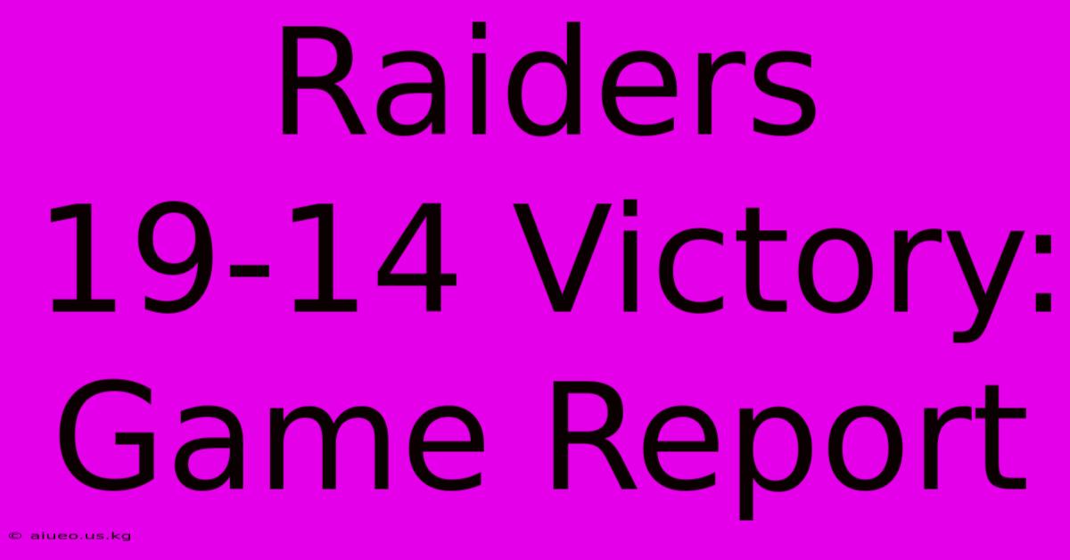 Raiders 19-14 Victory: Game Report