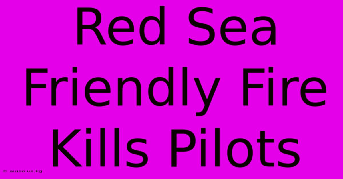 Red Sea Friendly Fire Kills Pilots