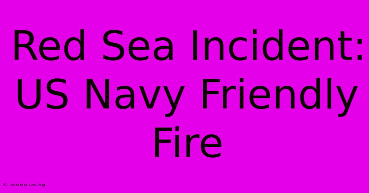 Red Sea Incident: US Navy Friendly Fire