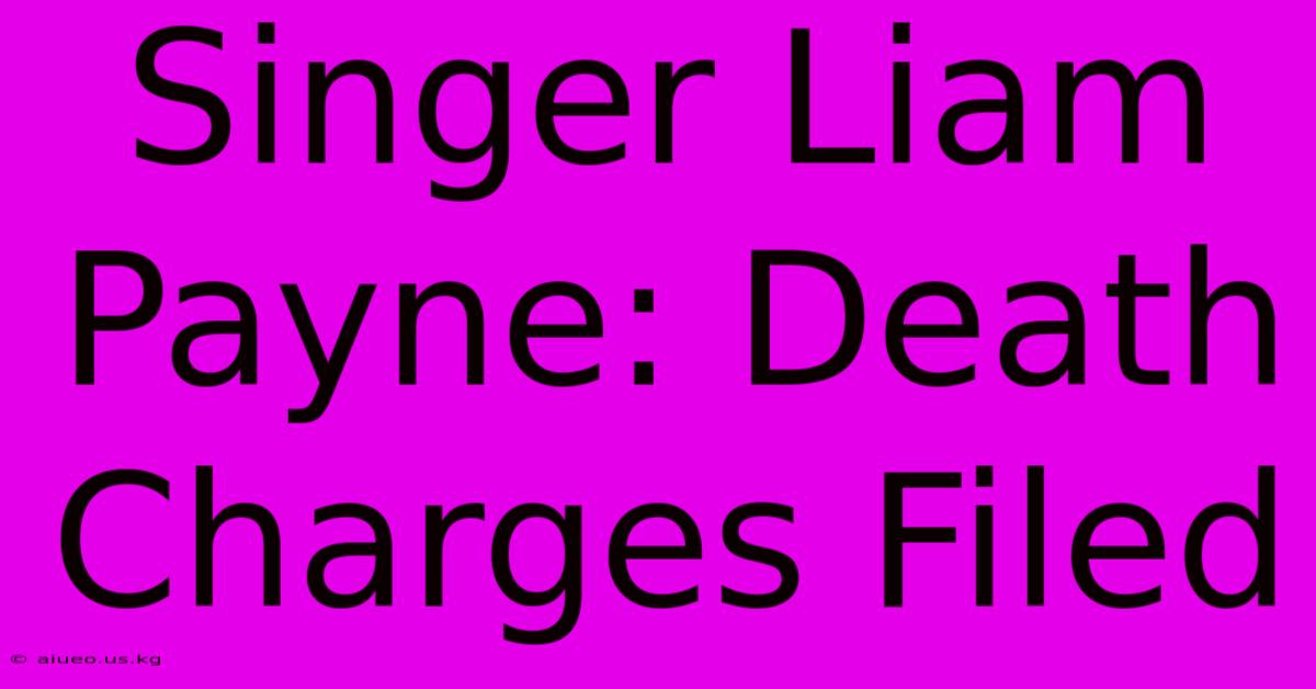 Singer Liam Payne: Death Charges Filed