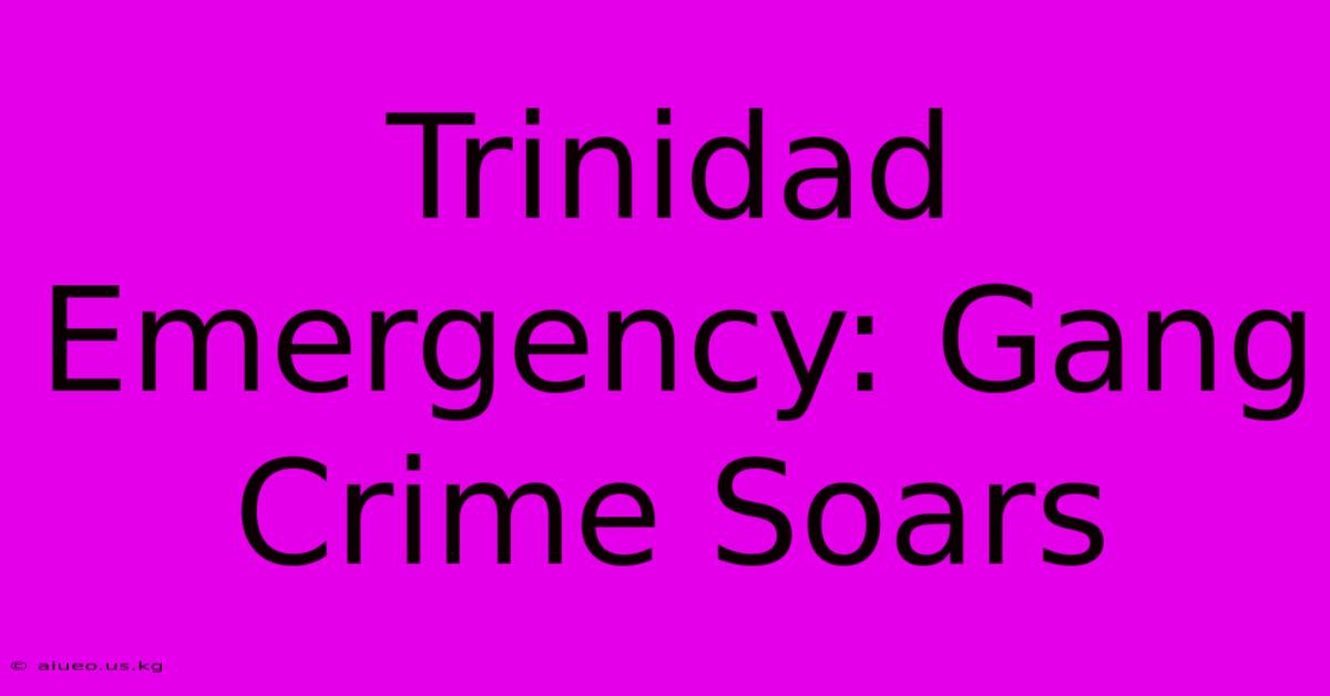 Trinidad Emergency: Gang Crime Soars